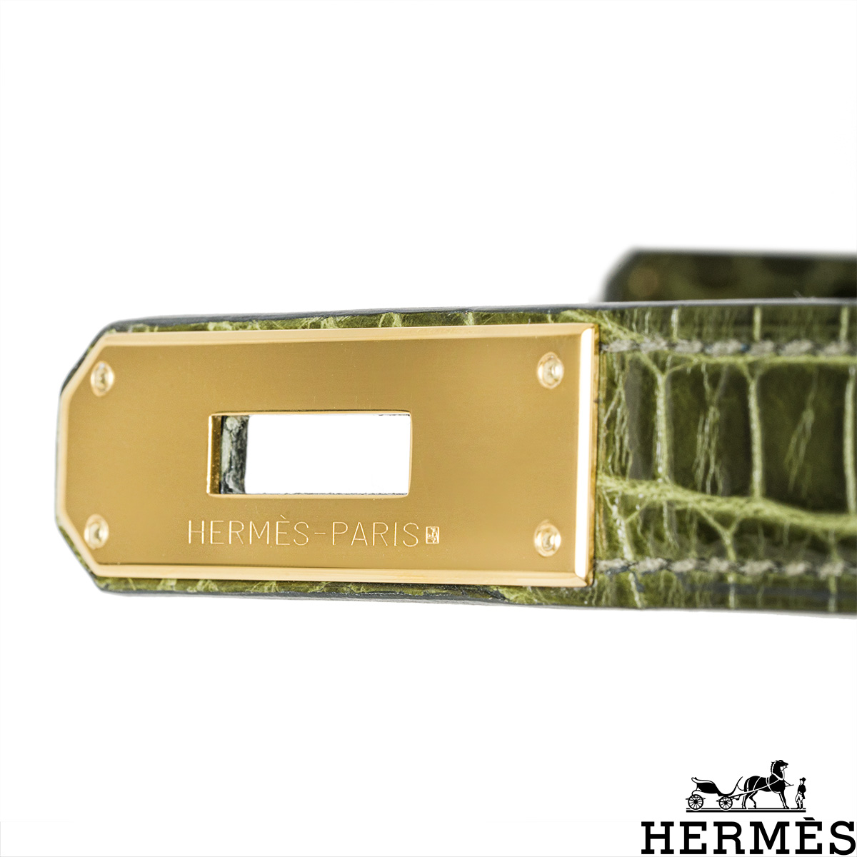 Hermès Birkin 30cm Vert Rousseau Shiny Niloticus Crocodile Gold